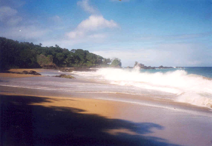 Der Strand von Tobago
