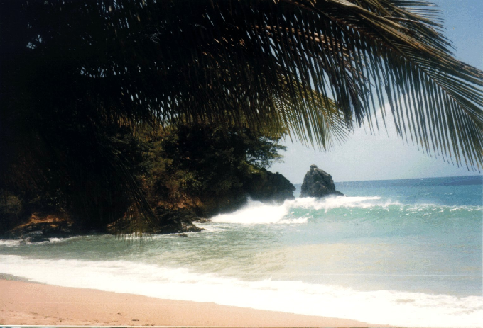 Der Strand von Tobago

